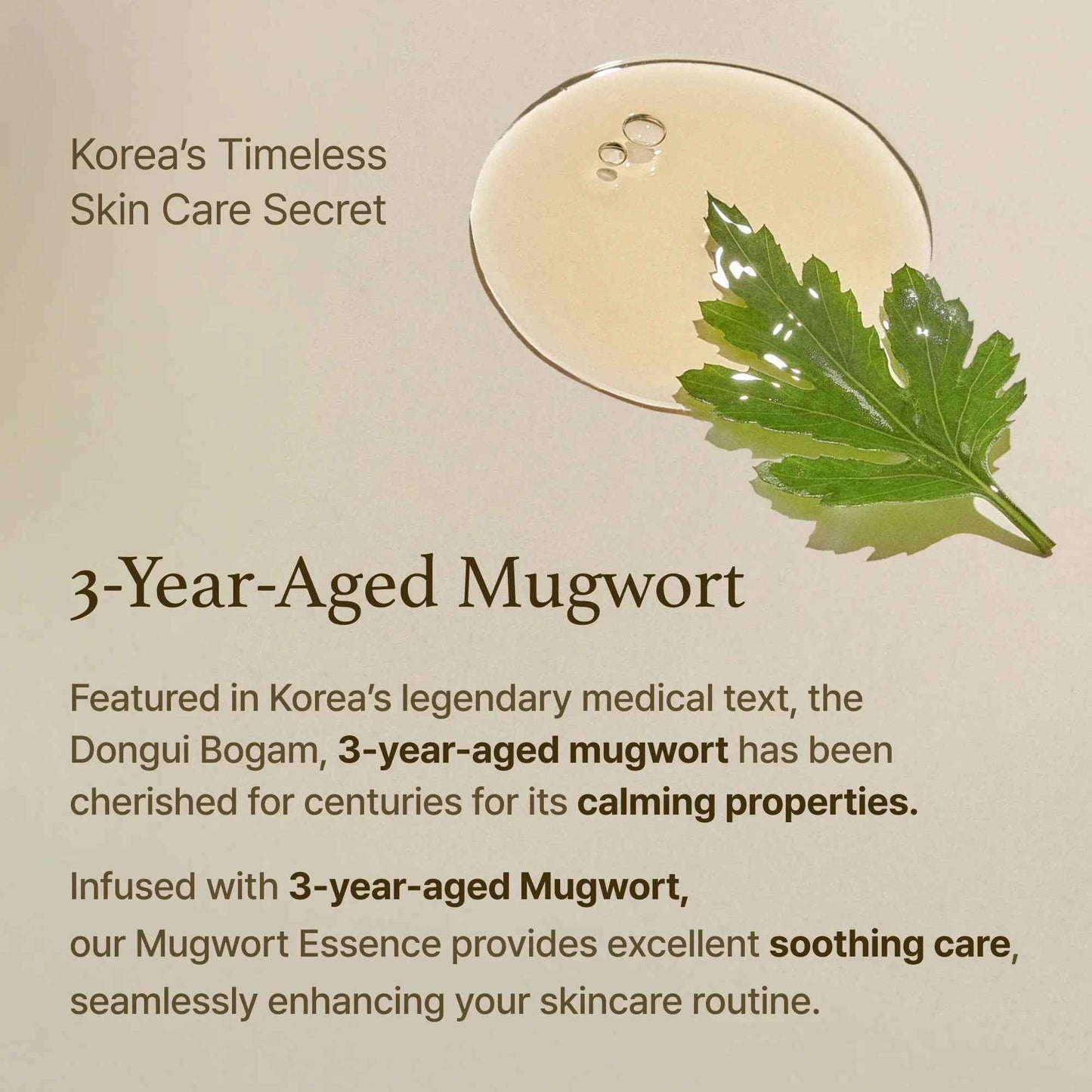 Mugwort Essence 30ml