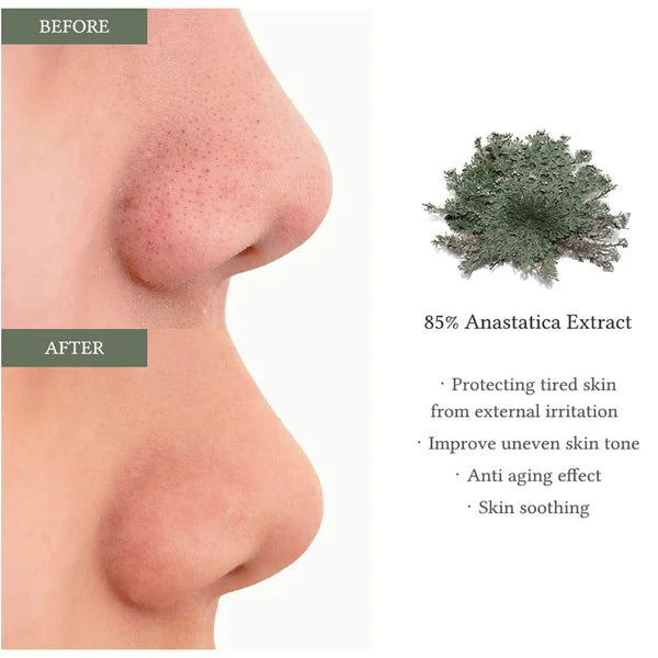 Anastatica Skin Conditioning Pad 65τμχ